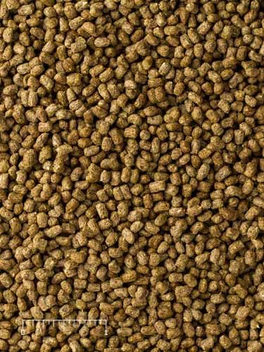 Mazuri Juvenile Tortoise Food pellets closeup showing probiotic cultures for gastric health.