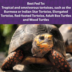 Mazuri Tortoise Diet serving dish — easy-to-serve pellets at mealtime.