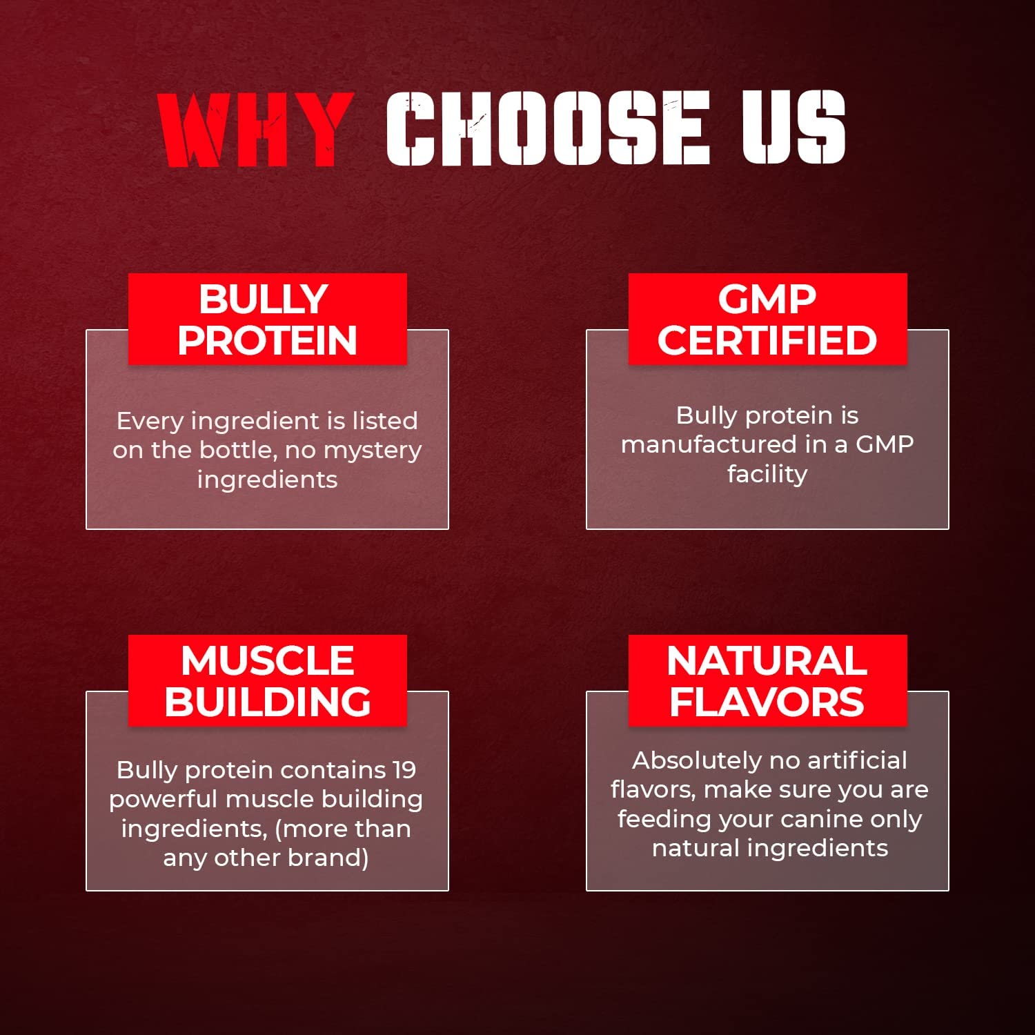 MBF Supplements close-up of protein powder texture highlights high-purity real meat protein.