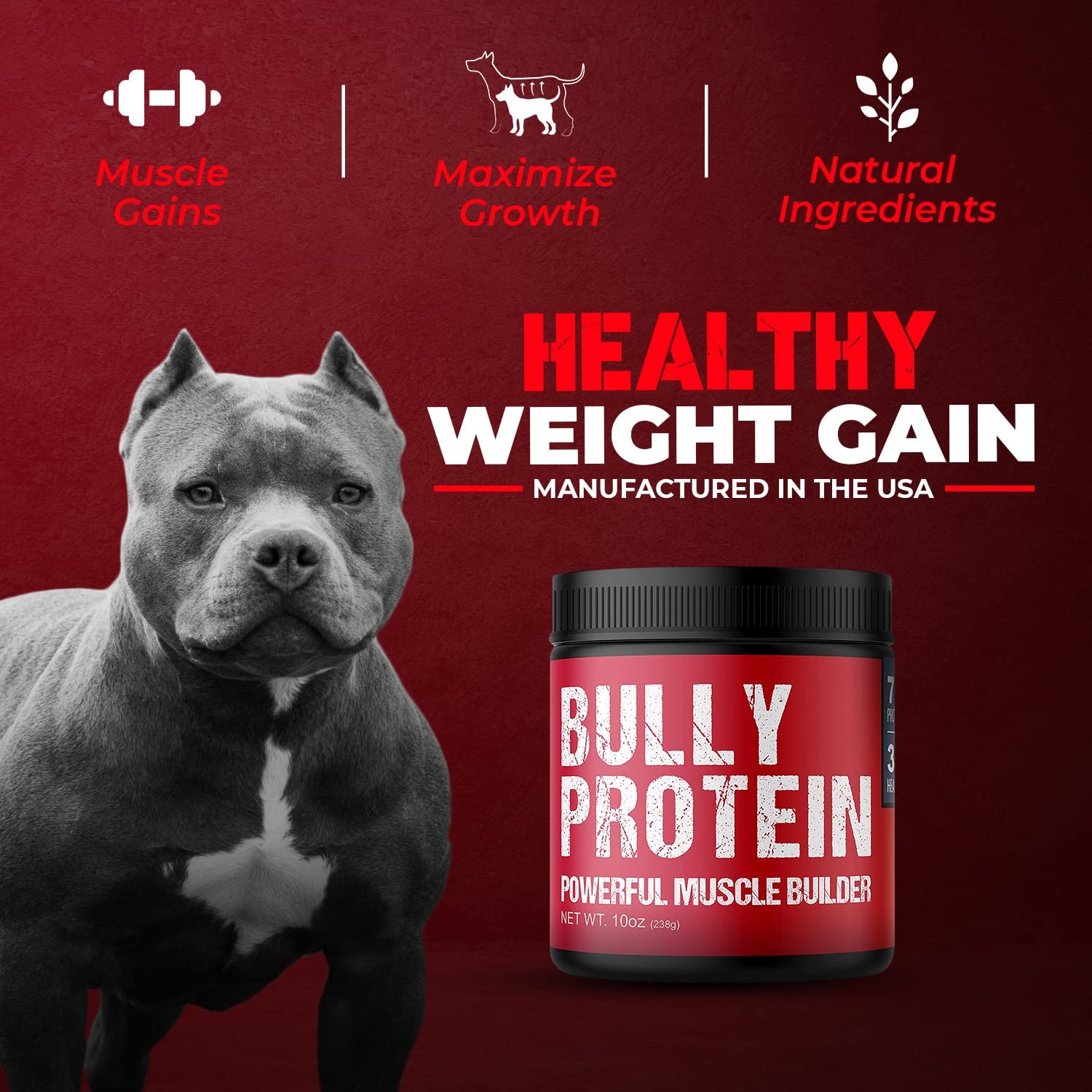 MBF Supplements dog health boost with protein supports immune vitality.