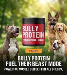 MBF Supplements measured scoop demonstrates easy, mess-free protein addition to dog meals.