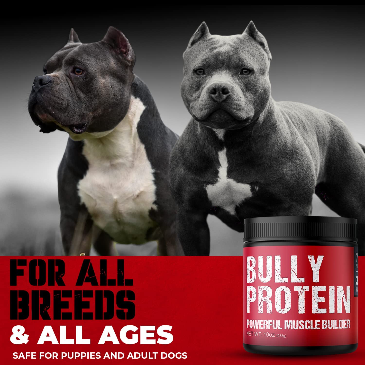 MBF Supplements pouring protein over dog food for quick meal-time protein boost.