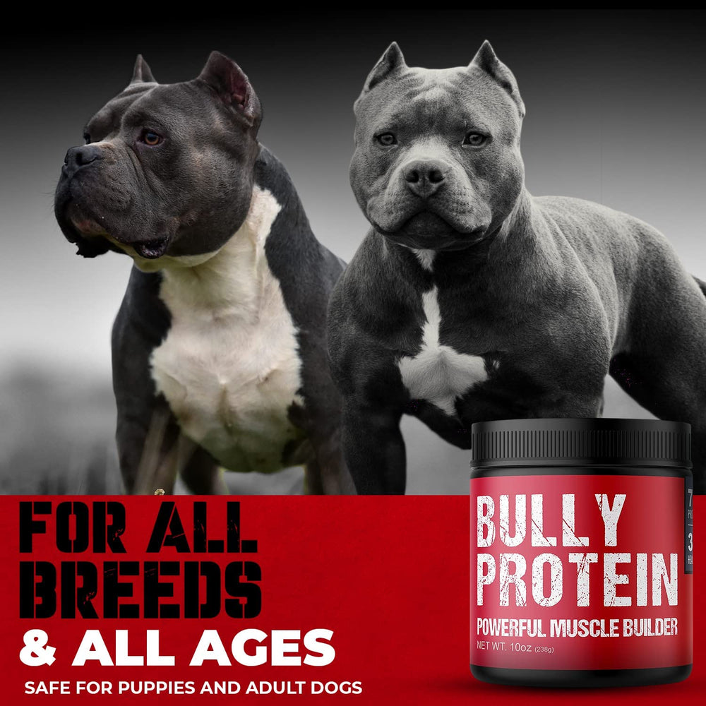 MBF Supplements pouring protein over dog food for quick meal-time protein boost.