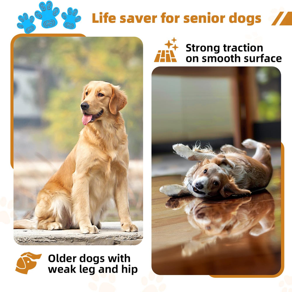 MBTWZ 12-set package with 48 pads for households with multiple dogs
