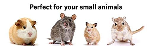 Mcage small animals-critters use case highlights chinchillas, ferrets, rats and more.