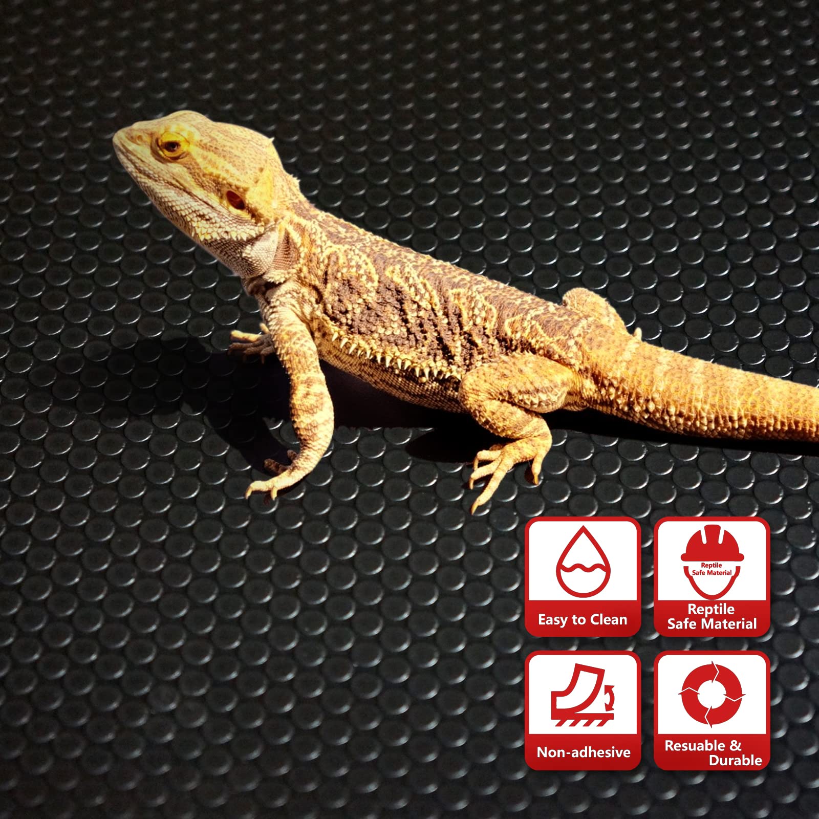MCLANZOO reptile substrate mat lifestyle setup in a terrarium with comfortable flooring.