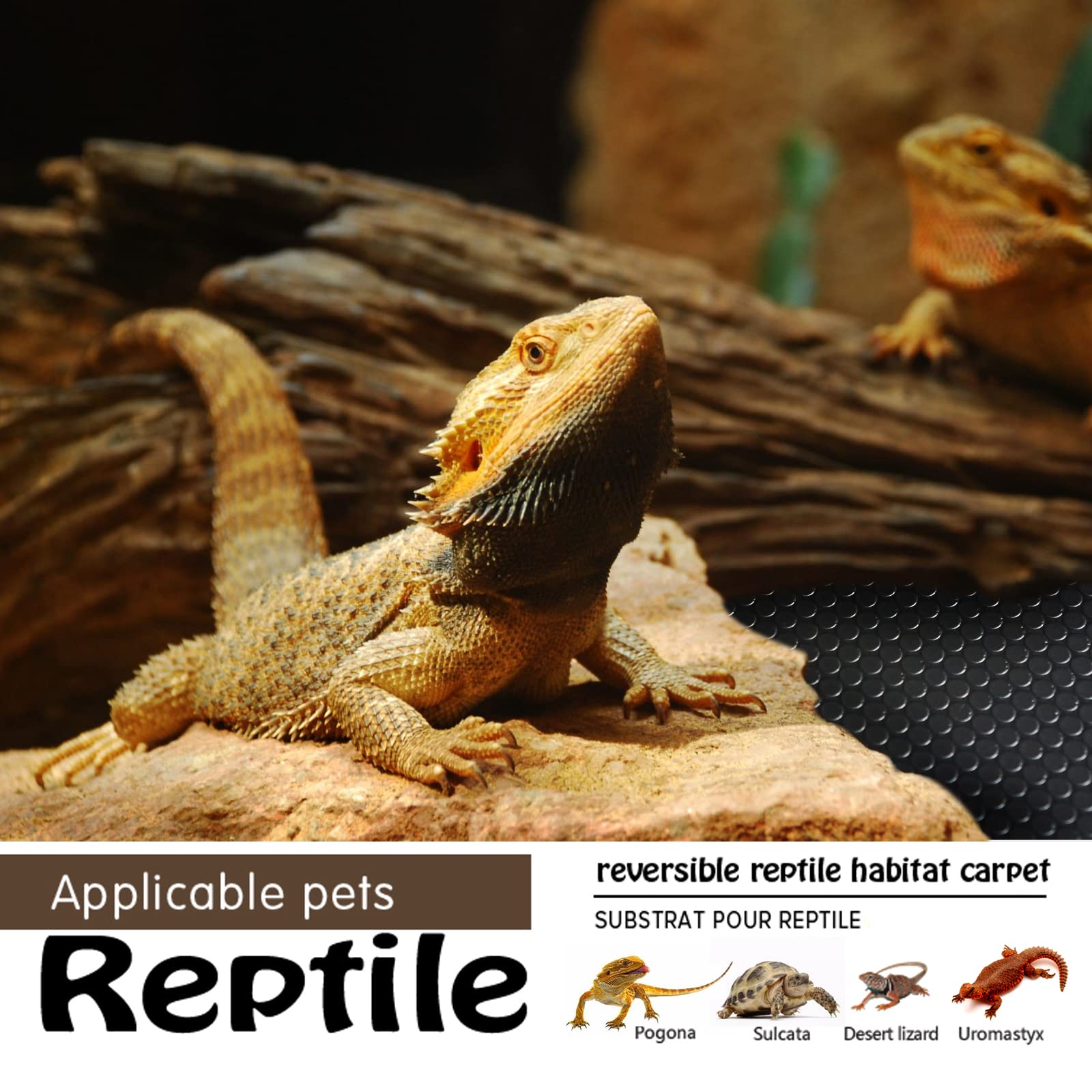 MCLANZOO reptile substrate mat in a bearded dragon terrarium illustrating warm, comfortable surface.
