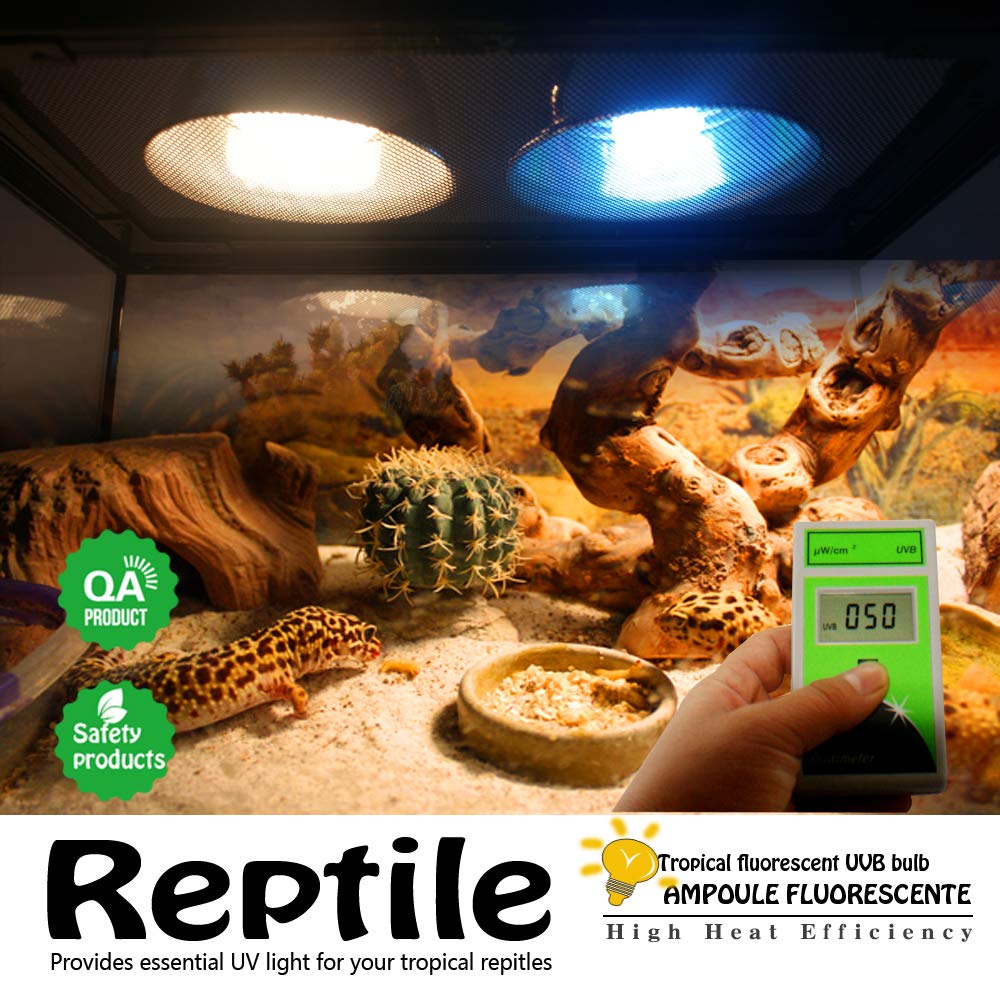MCLANZOO UVB desert-lamp in-tank demonstrates easy E26 installation for versatile terrariums.
