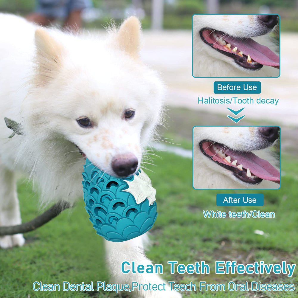 M.C.works Dragon Egg Toy durability test image demonstrates high bite-resistance for tough chewers.