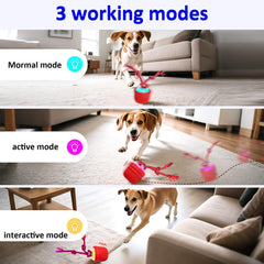 Mdupw interactive dog ball floating in pool for splashy pool play sessions