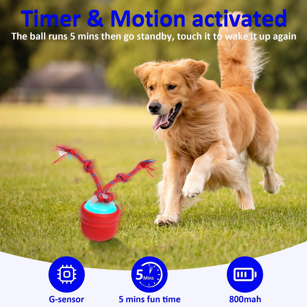 Mdupw interactive dog ball rope-chase action mimics prey in light games