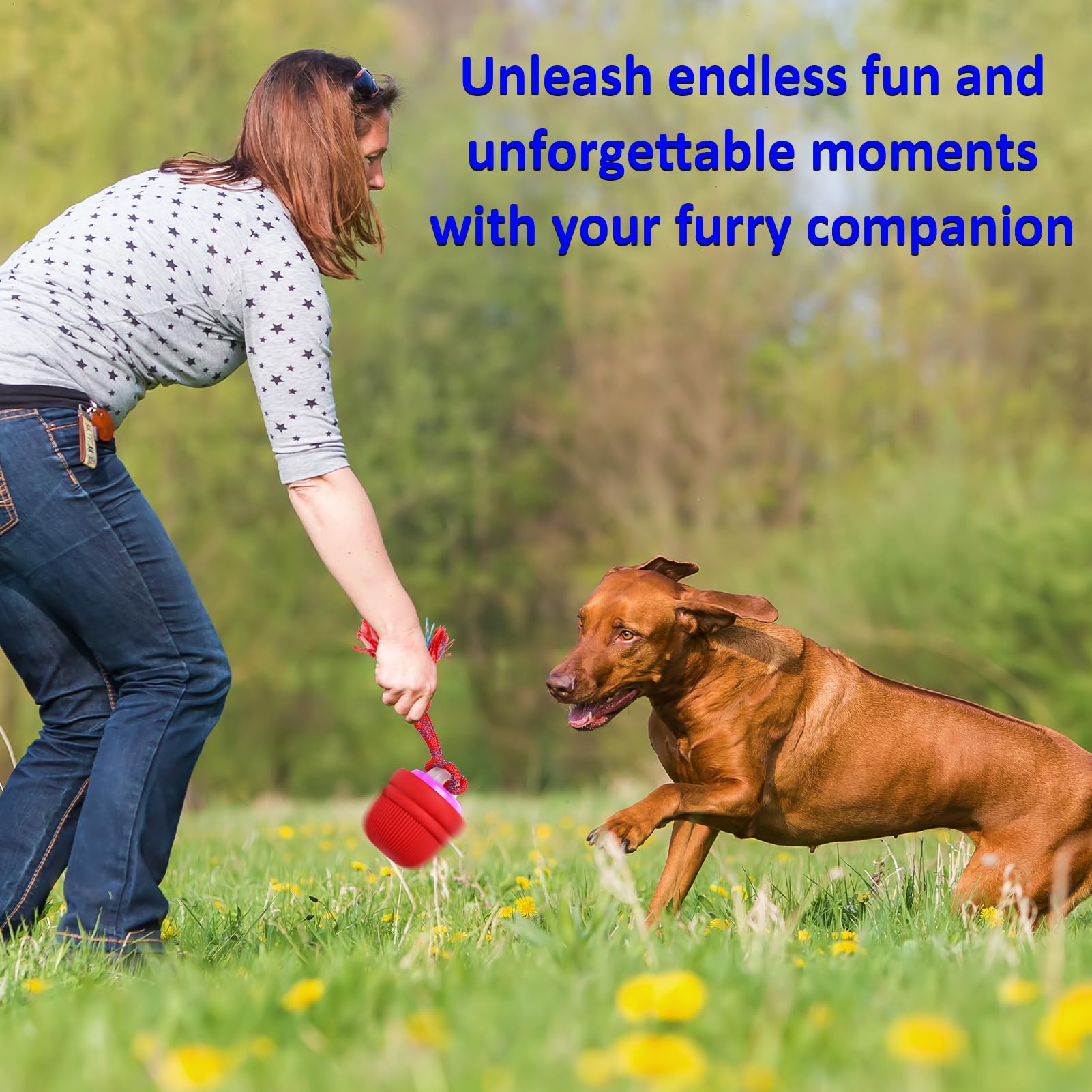 Mdupw interactive dog ball size guide helps match dog breed for safe play