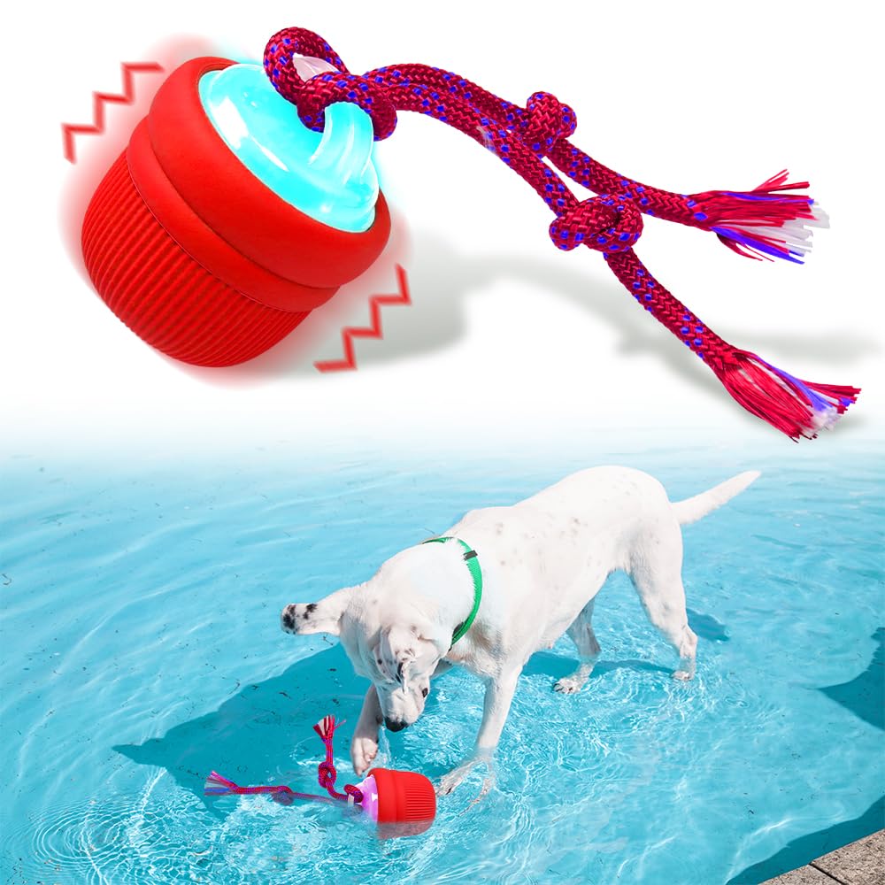 Mdupw interactive dog ball waterproof for indoor and outdoor play, versatile use