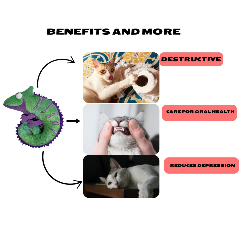 ME GUSTA PET Catnip Toy Crinkle Sound boosts interactive sessions with cats