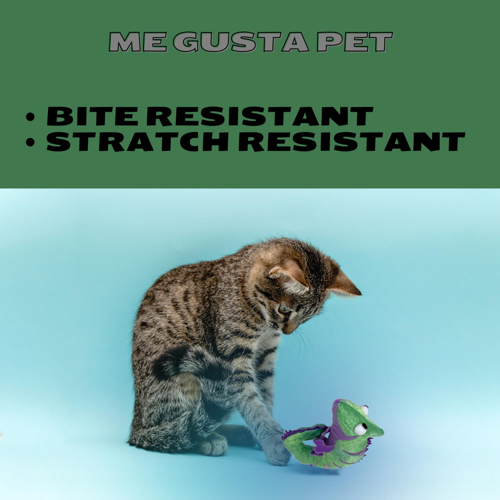 ME GUSTA PET Catnip Toy North American Catnip aroma enhances playful engagement