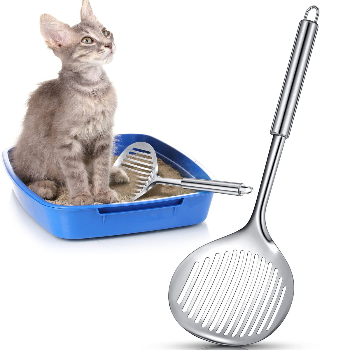 Meanplan cat metal litter scoop dual pack ready for rapid cleaning.