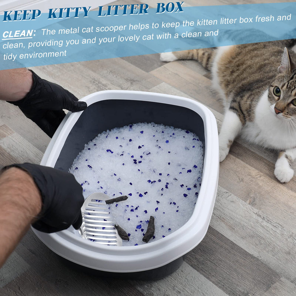 Meanplan durable stainless steel scoops deliver reliable performance through repeated use.