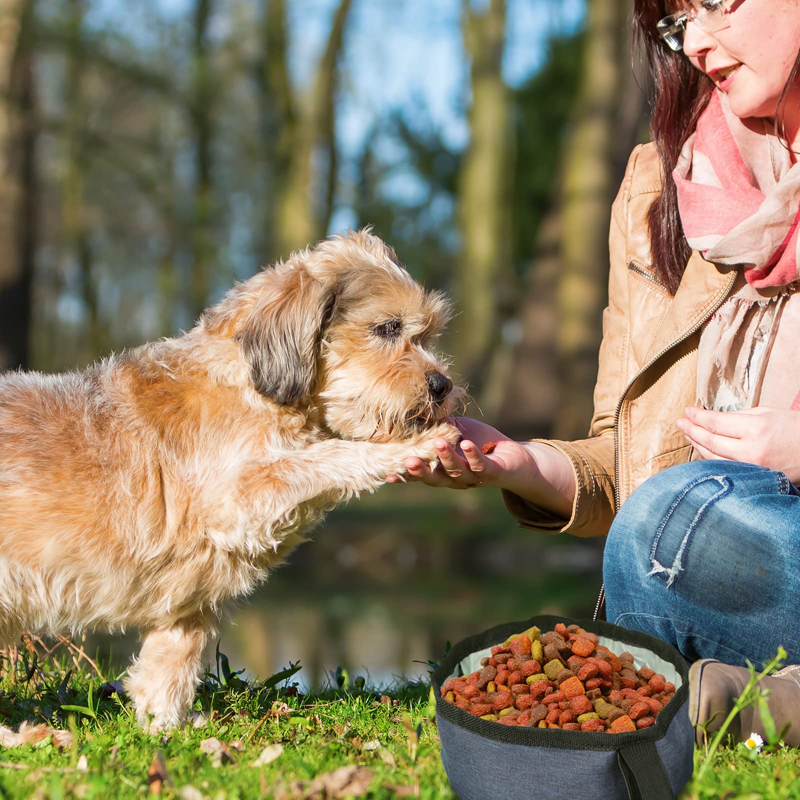 Meanplan in-use travel-dog-bowls shown during hikes and car trips.