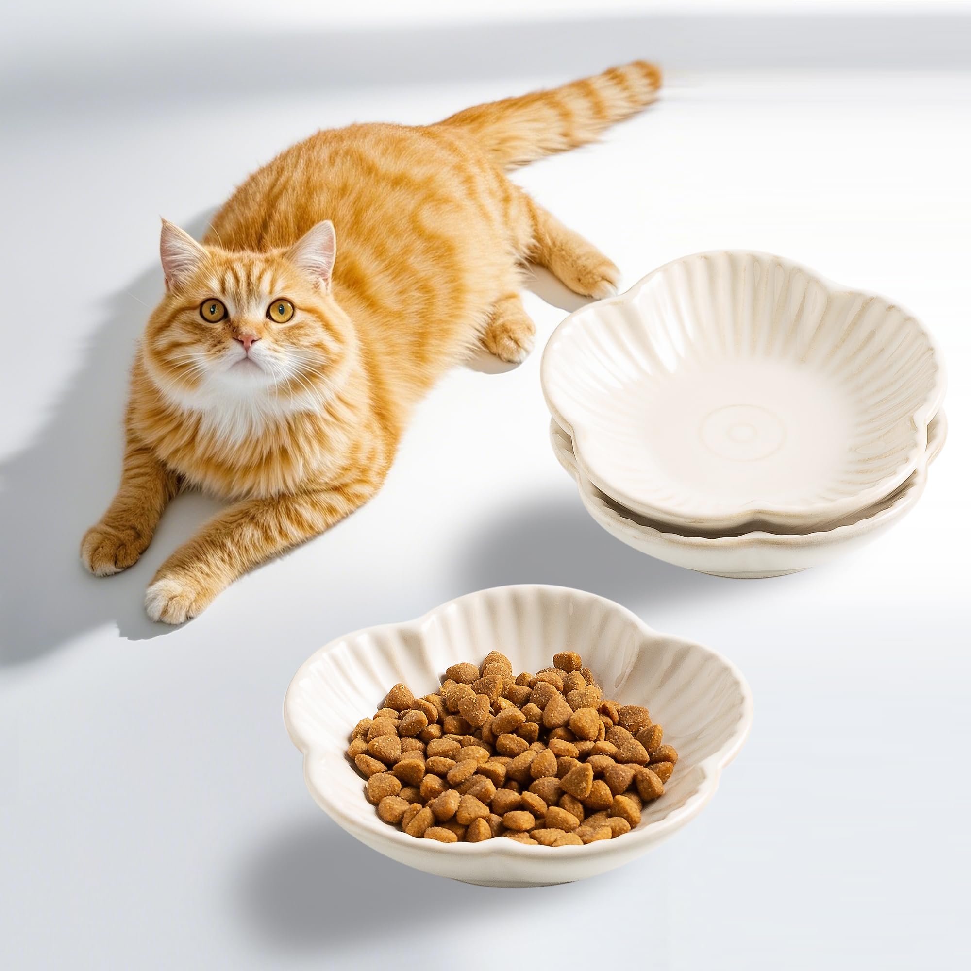Mecaikru cat plates white dish closeup demonstrating shallow design to protect whiskers.