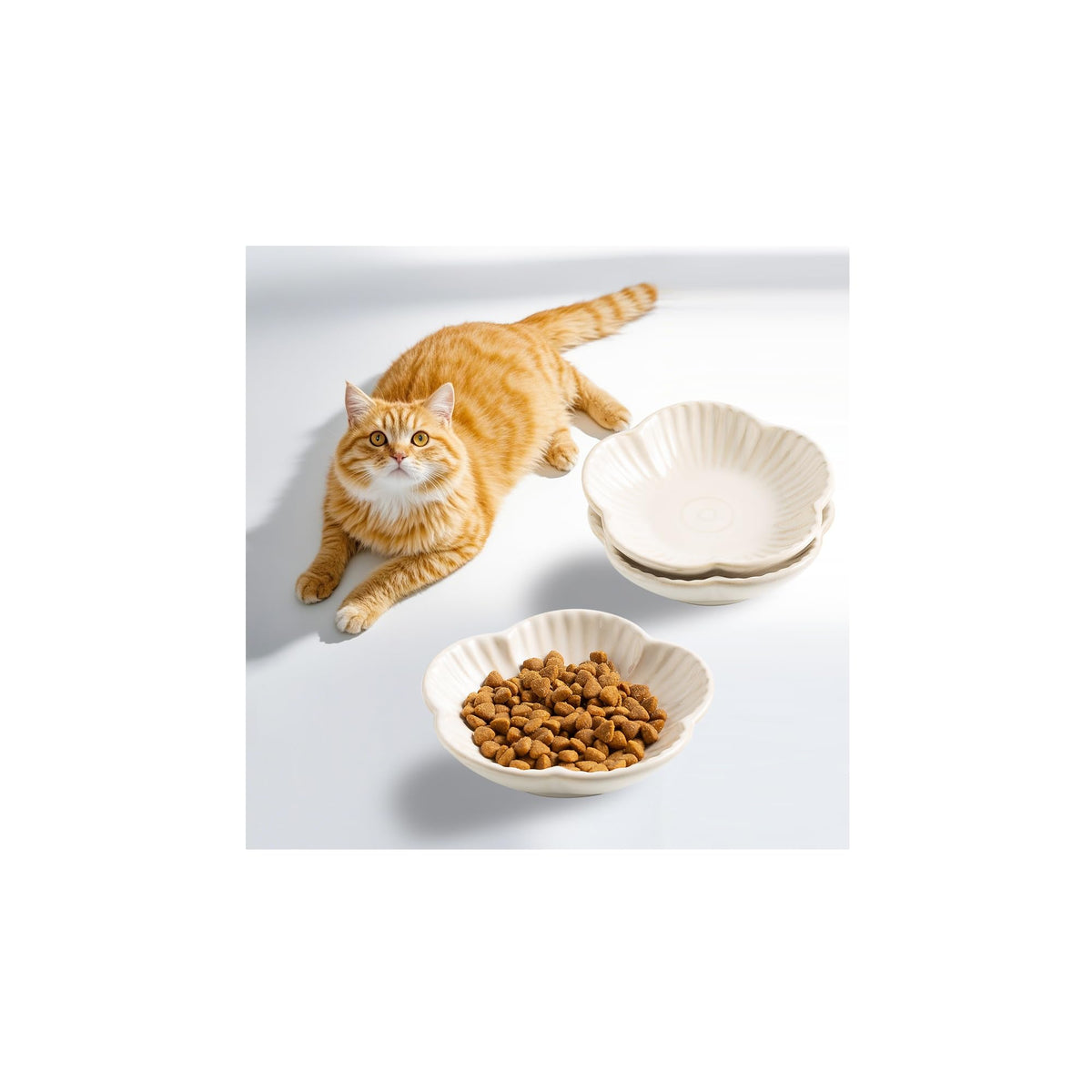 Mecaikru ceramic cat bowls white closeup showing easy-clean glaze for quick maintenance.