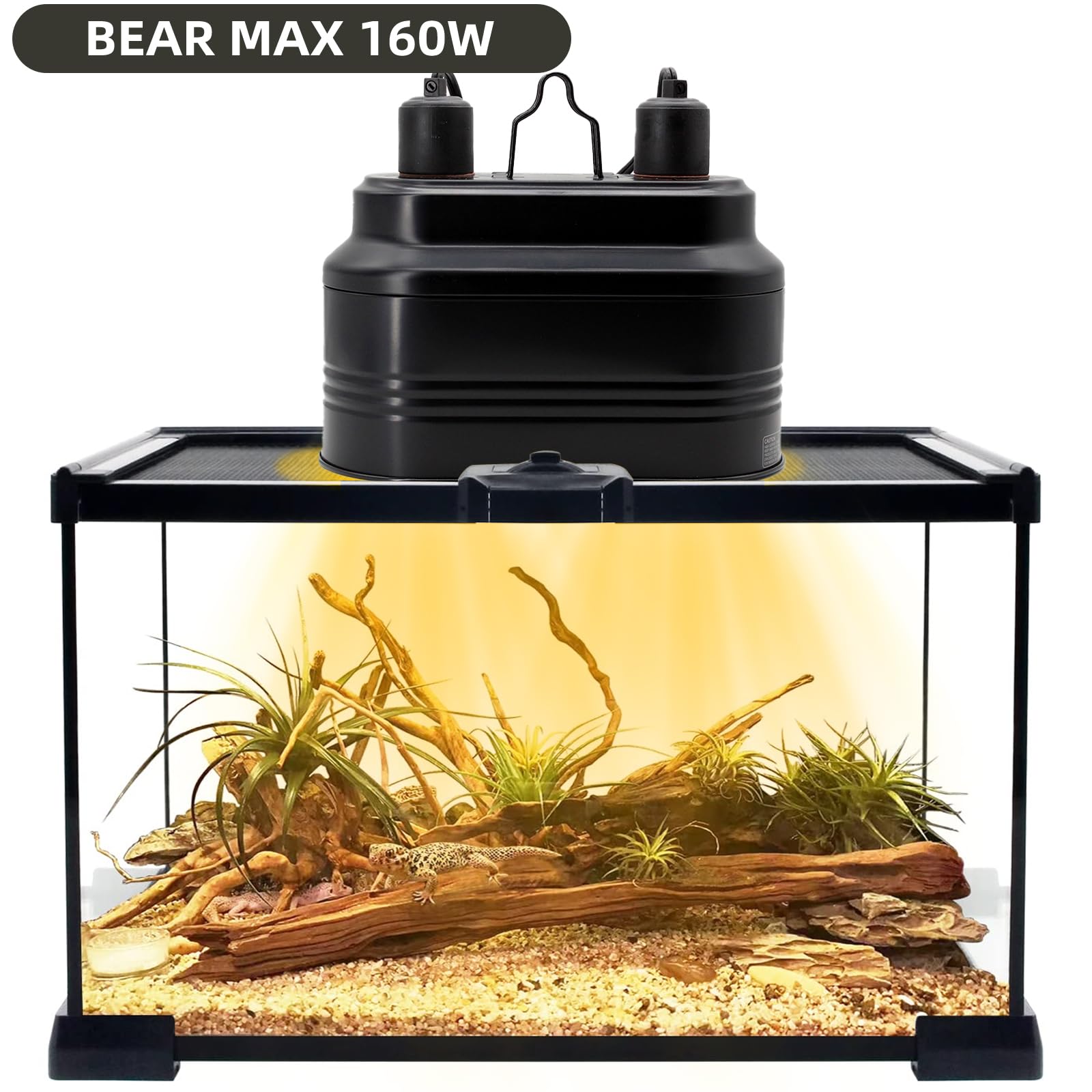 MECESOR dual lamp head with UVB focus and independent control