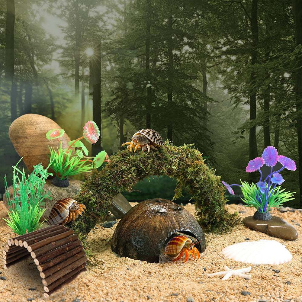 Mechpia hermit crab moss vine adds natural humidity and climbing texture for exploration.
