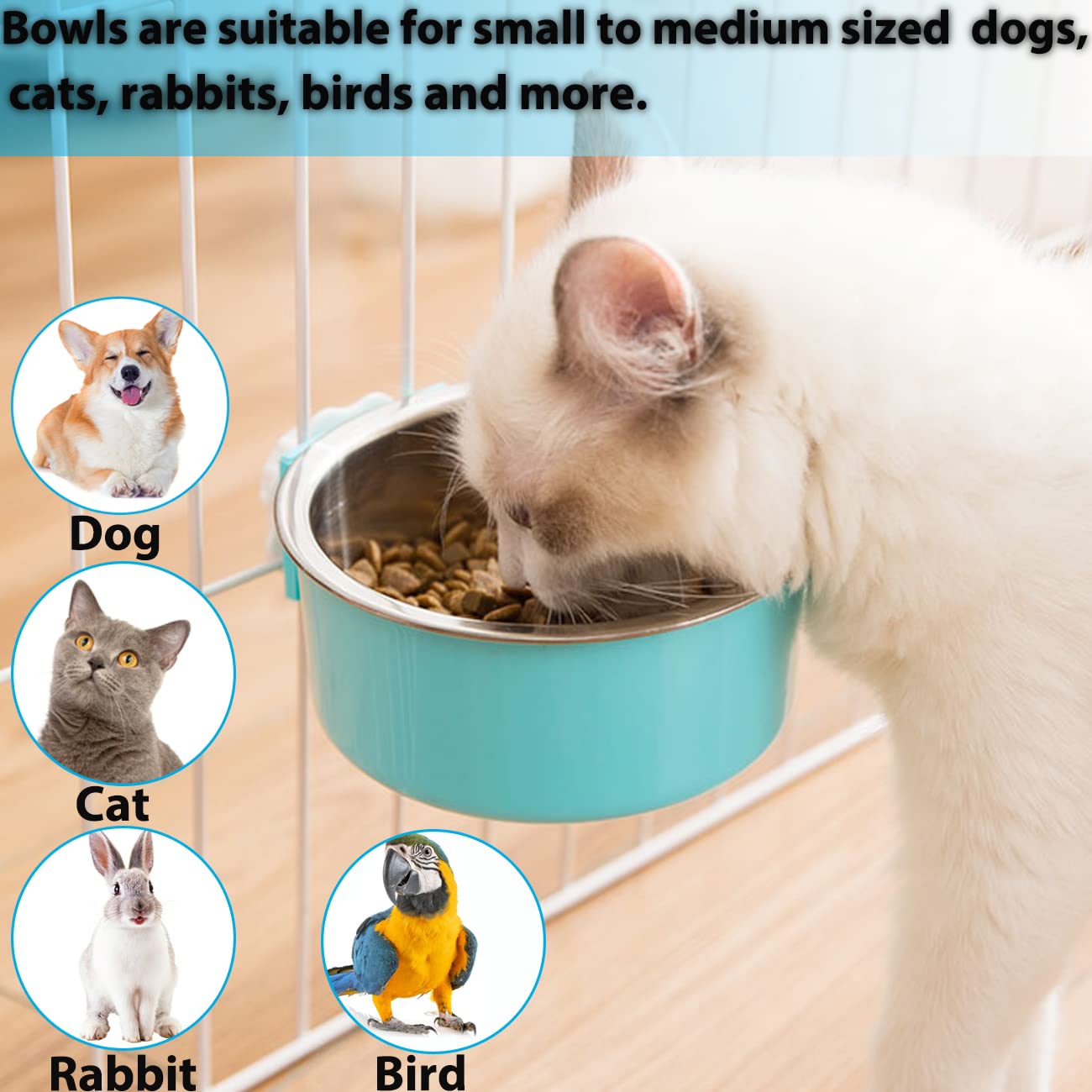 Mechpia plastic fixed bowl with stainless insert, two-in-one design for easy cleaning.