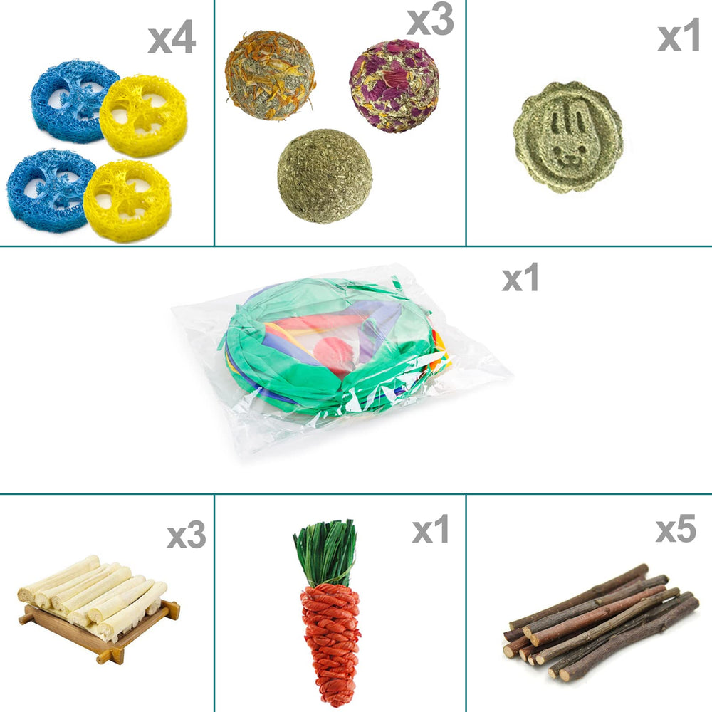 Mechpia rabbit-foraging kit demonstrates a mobile foraging game or puzzle.