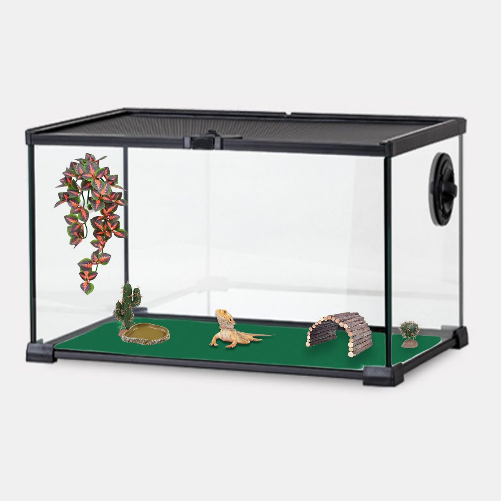 Mechpia reptile carpet in terrarium with bearded dragon or gecko