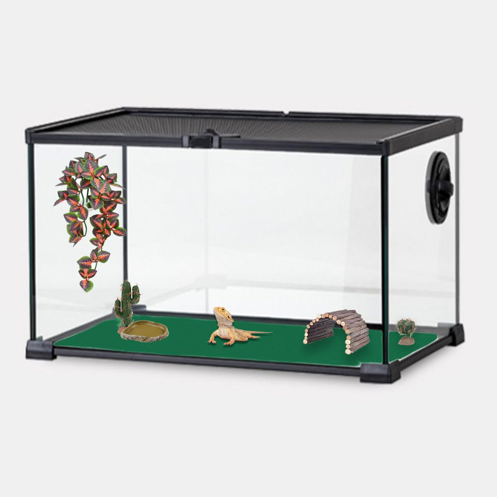 Mechpia reptile carpet in terrarium with bearded dragon or gecko