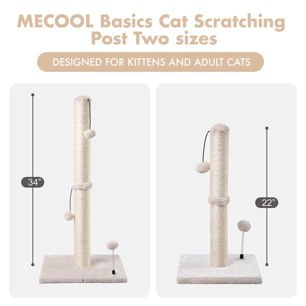 MECOOL scratching post placed near a window invites playtime