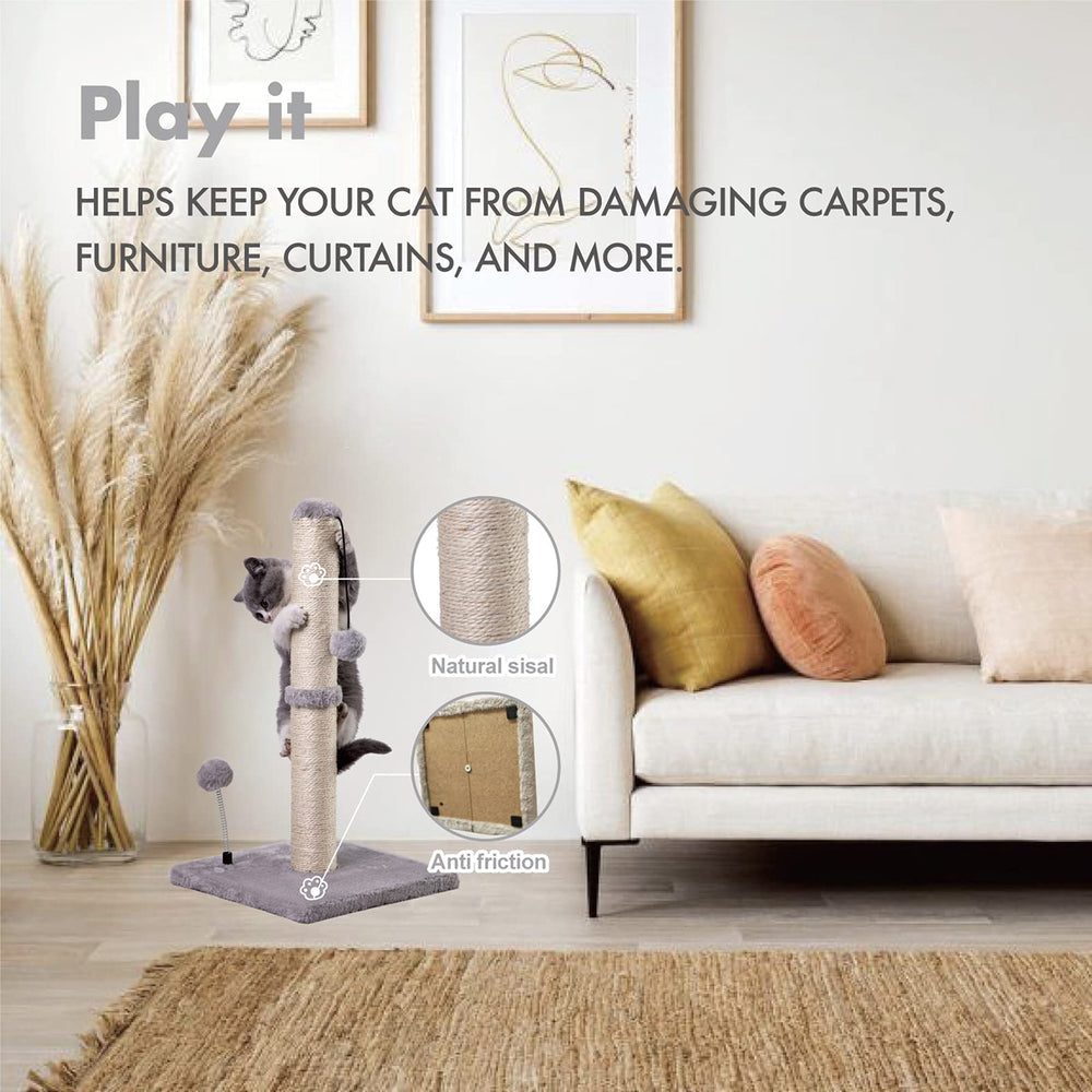 MECOOL hanging ball toy adds interactive play for cats