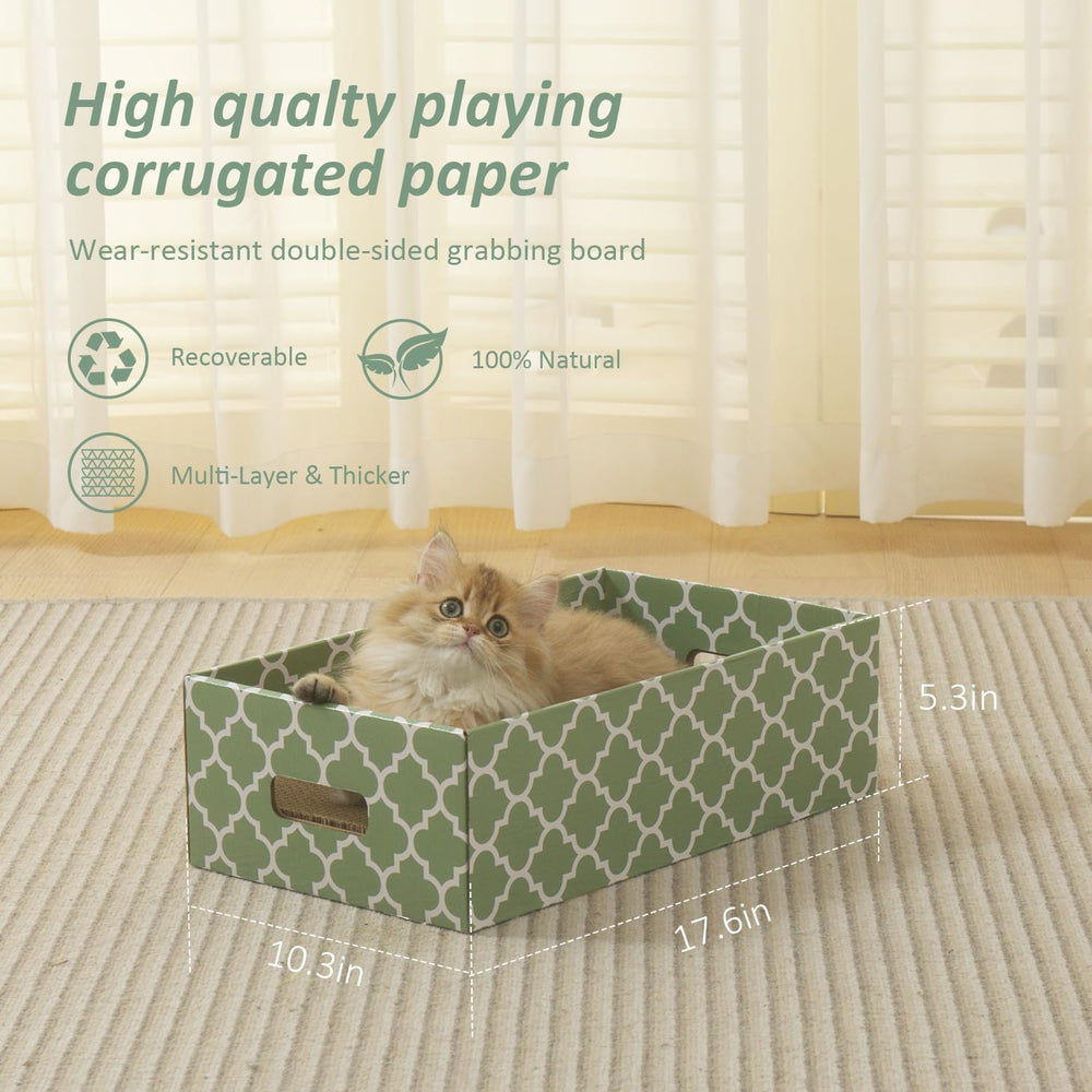 MECOOL catnip included pack enhances natural scratching and playful exploration