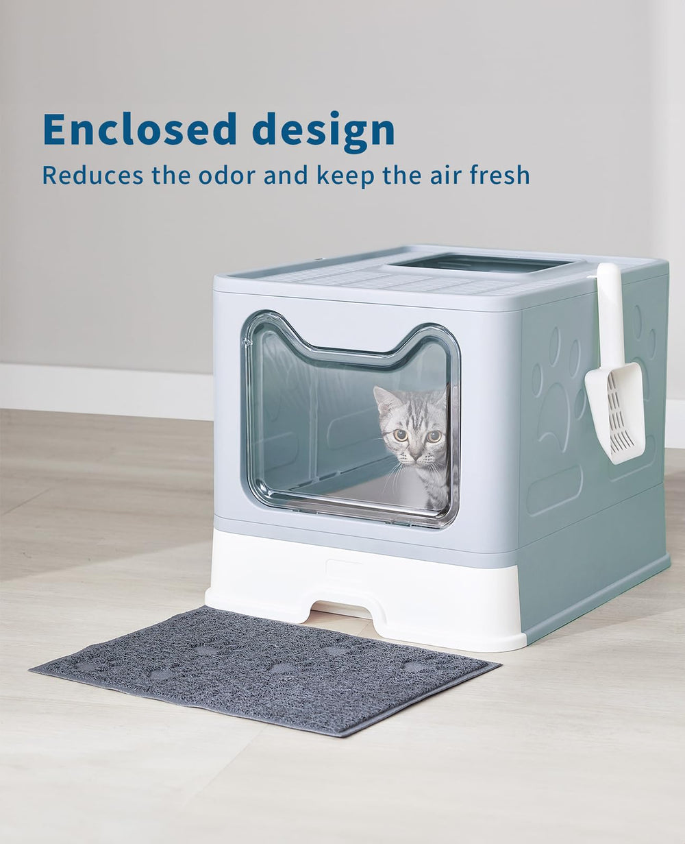 Medario cat litter box spacious interior supports easy entry.