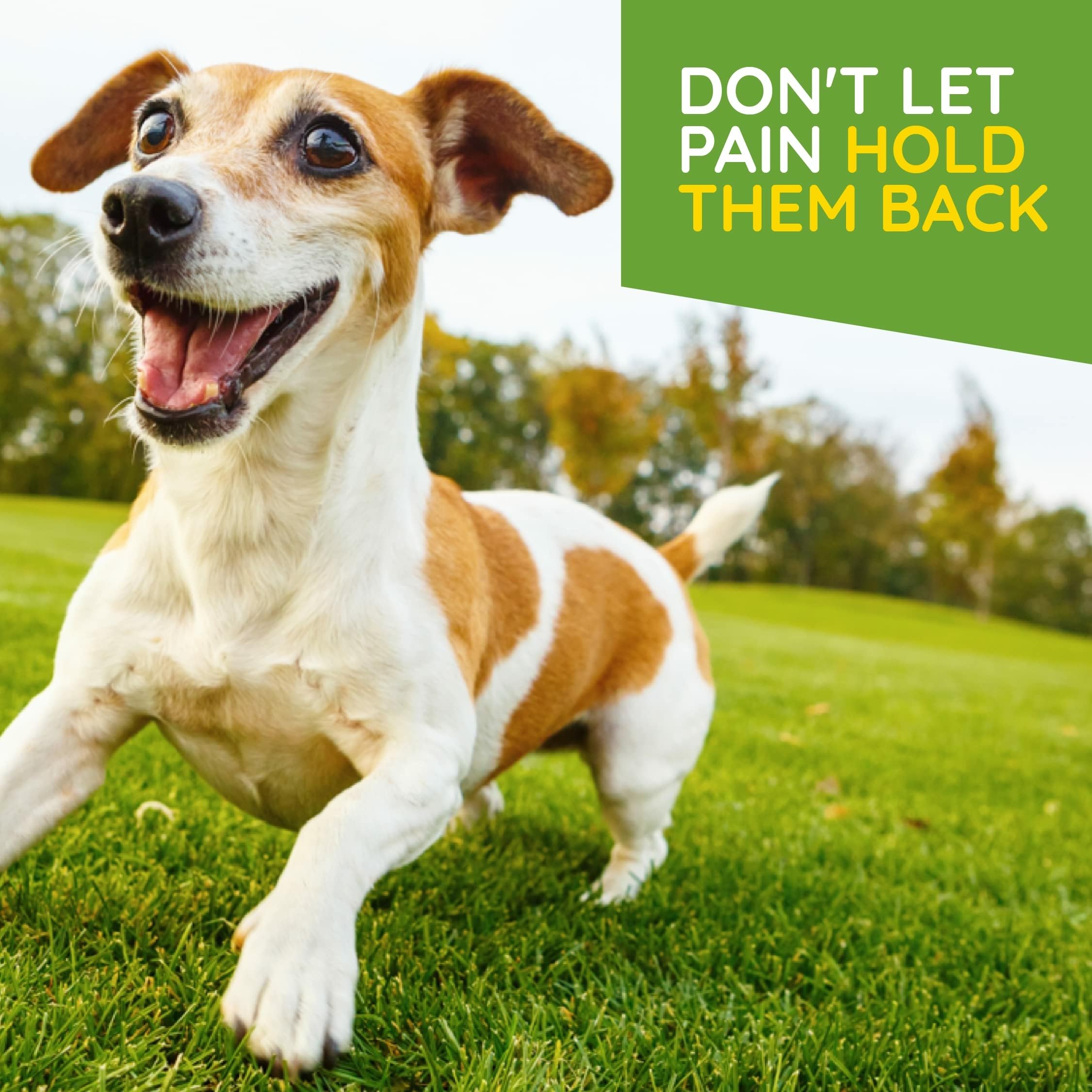 MediNatura T-Relief tablets for dogs and cats highlighting simple mix-in dosing.