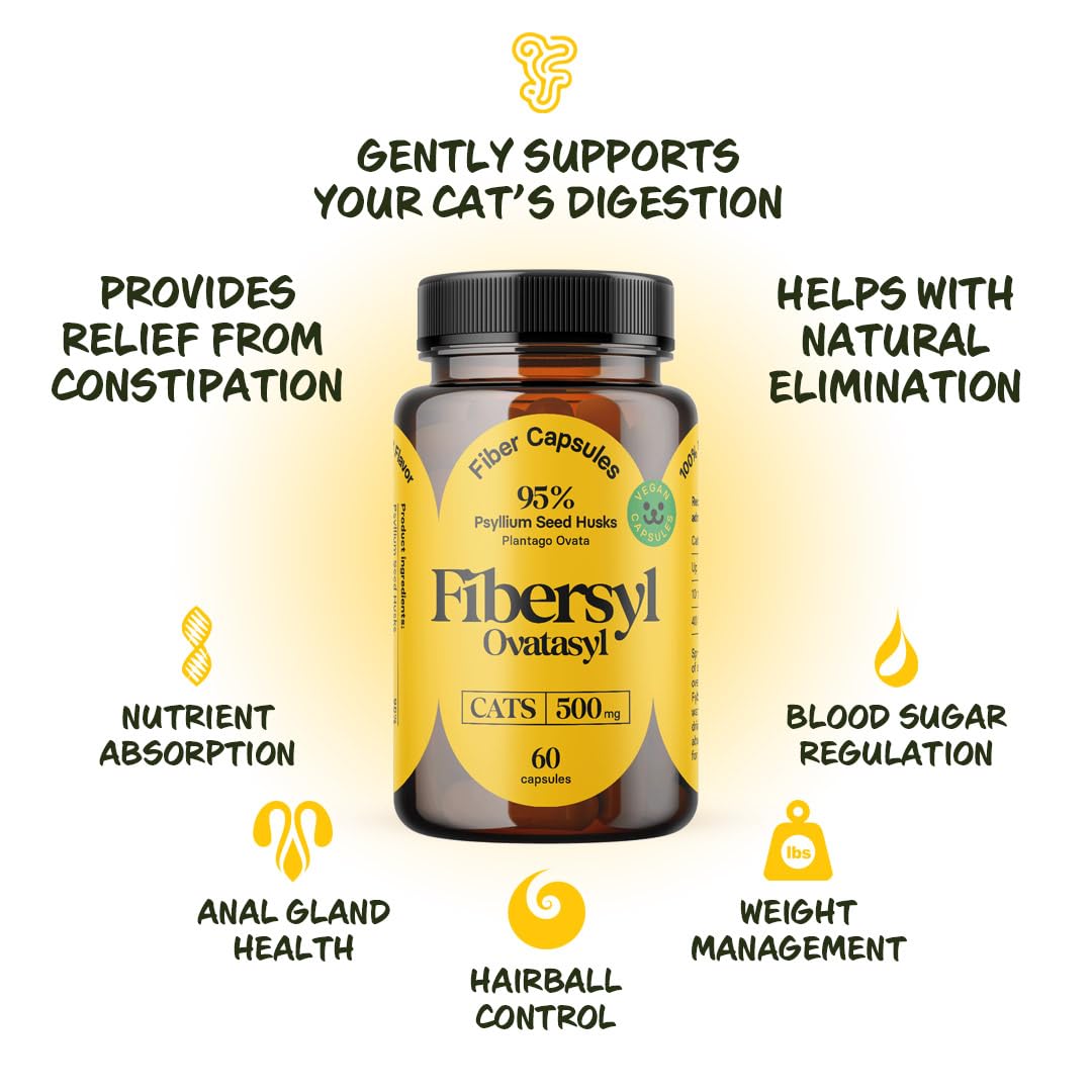Medsmehappy Daily-use design photo conveys easy integration into cat routines.