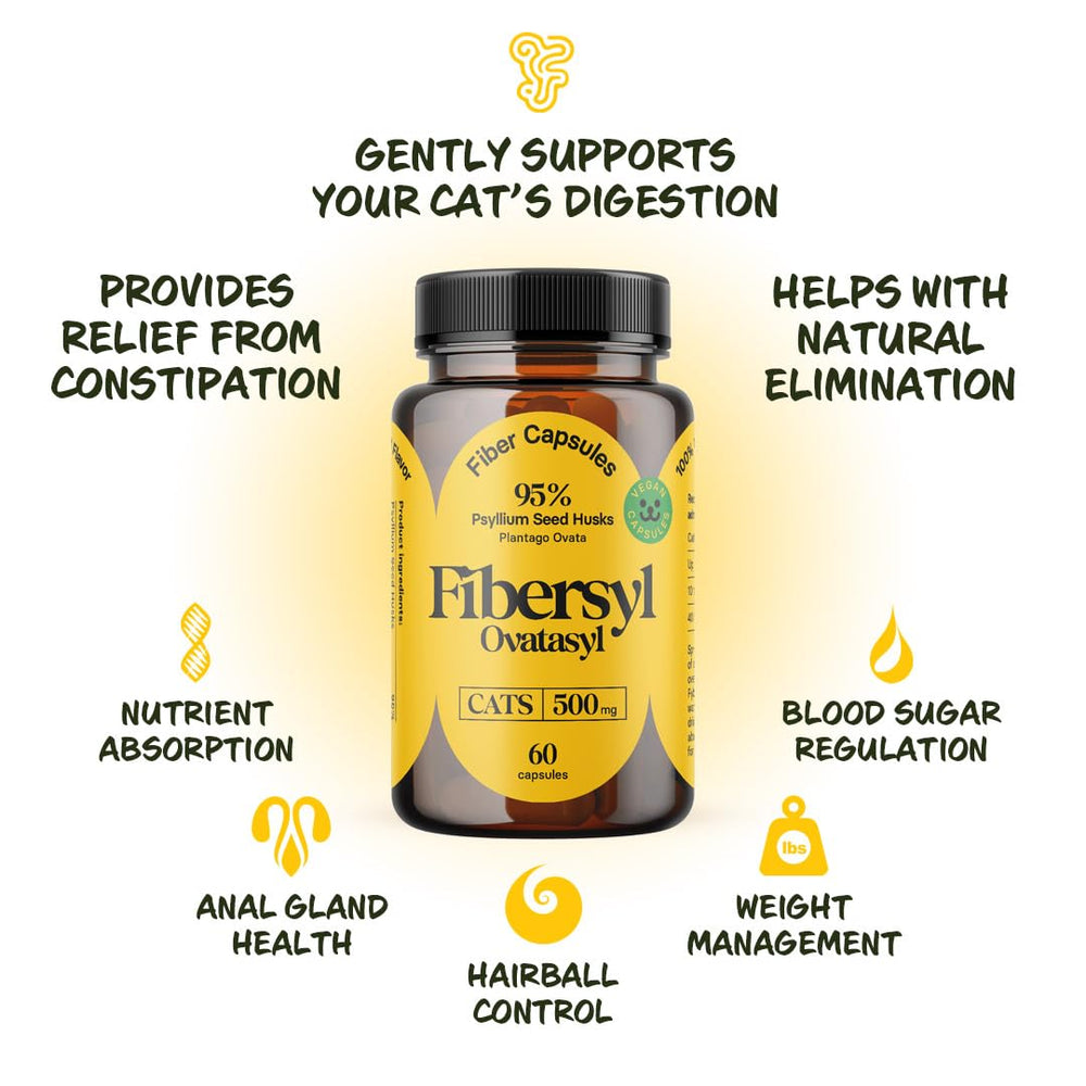 Medsmehappy Daily-use design photo conveys easy integration into cat routines.