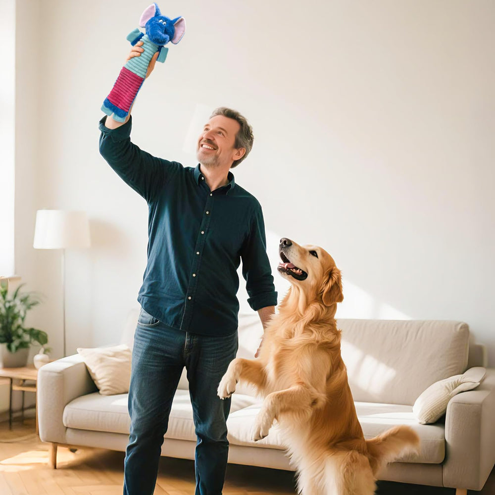 MeetYooo 5-pack dog toys image showing durable, chew-friendly fun for large and aggressive chewers.