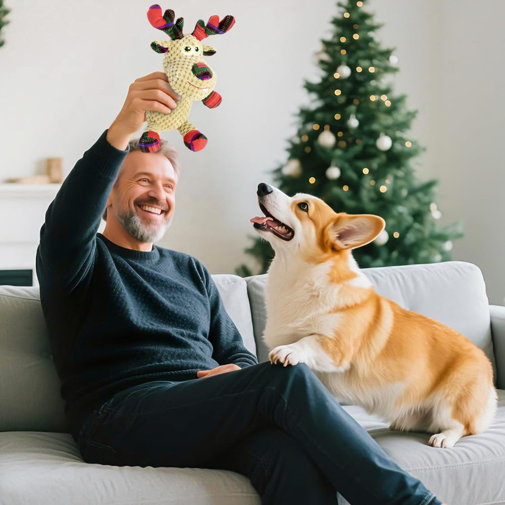 MeetYooo Indoor-outdoor fetch toy suitable for dogs of all sizes