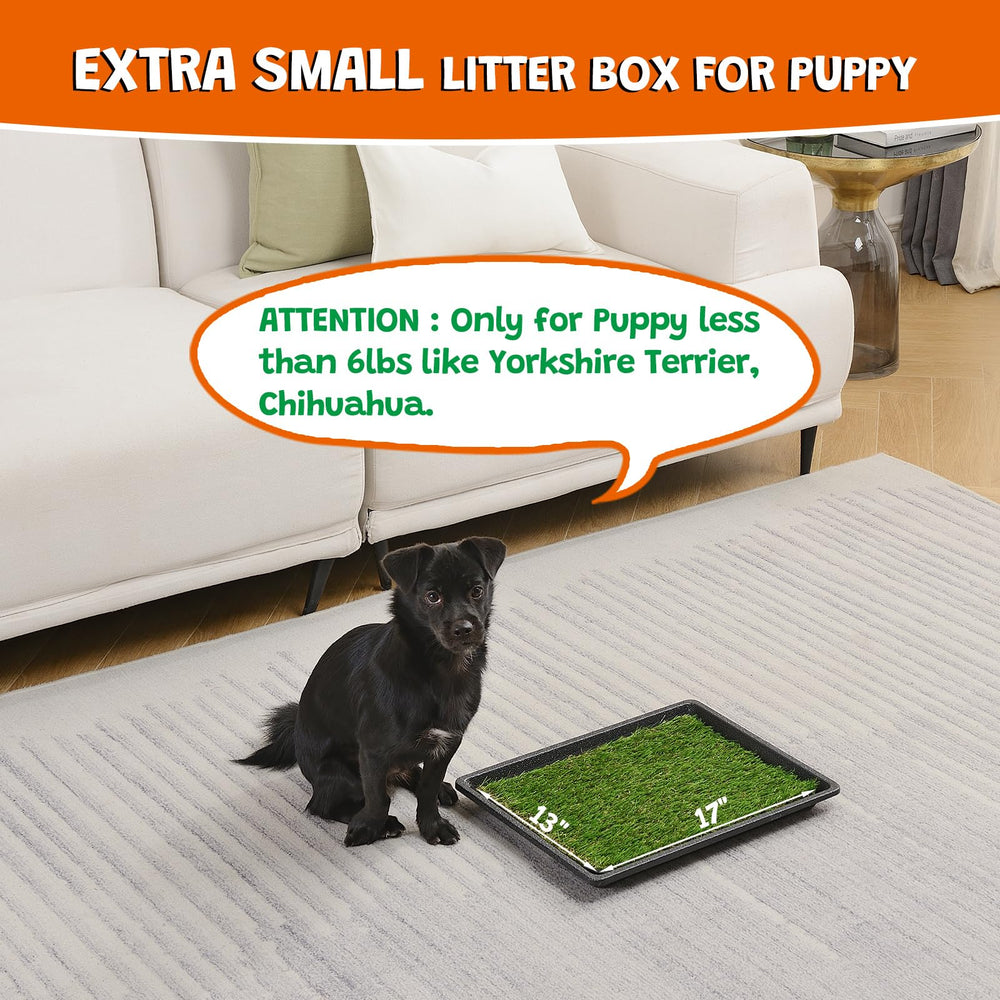 MEEXPAWS tear-resistant grass pad demonstrates durability under enthusiastic pawing