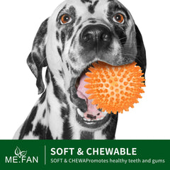 ME.FAN 3.5-inch purple squeaky dog ball promotes exercise and oral surface stimulation.