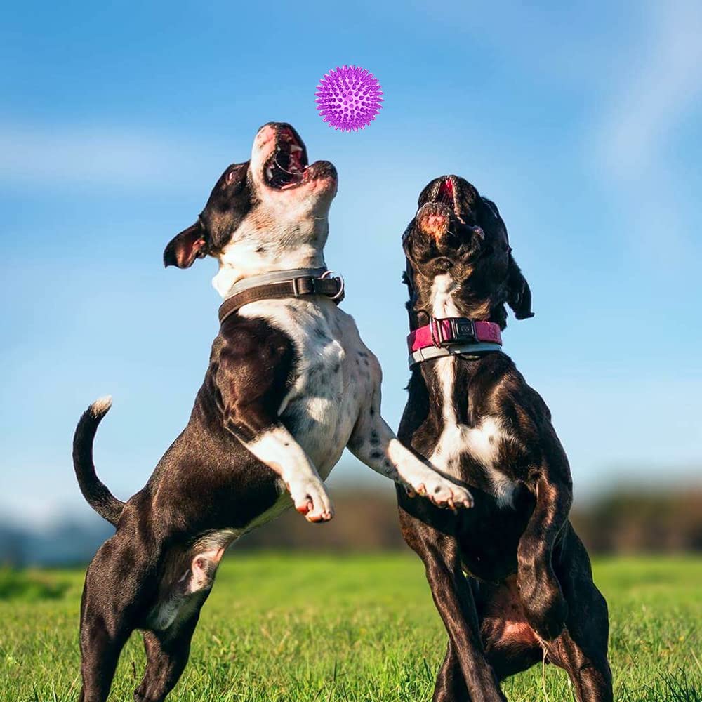 ME.FAN food-grade TPR dog ball designed for safe, odorless play.