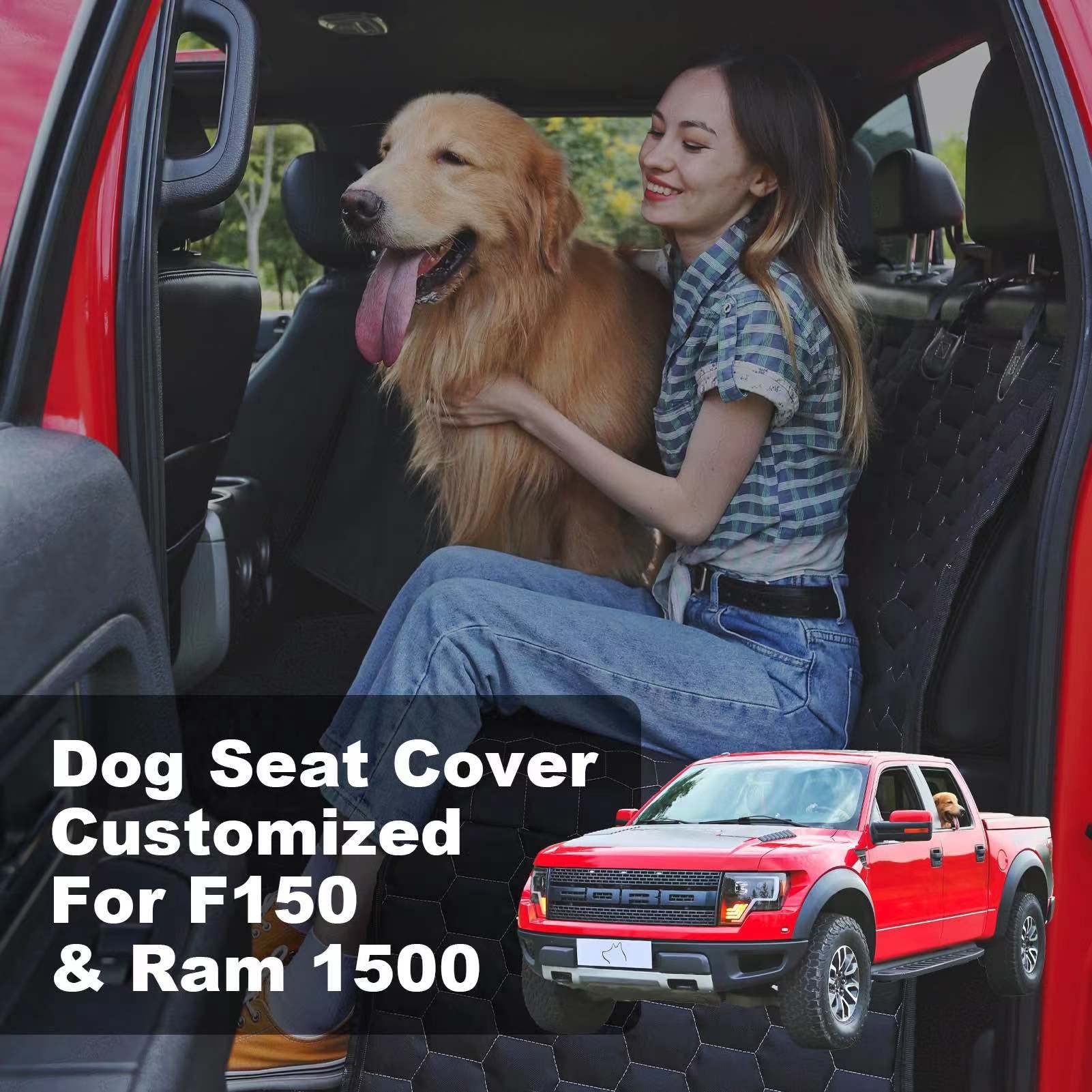 Meginc mesh window feature enhances air flow and reduces dog anxiety.
