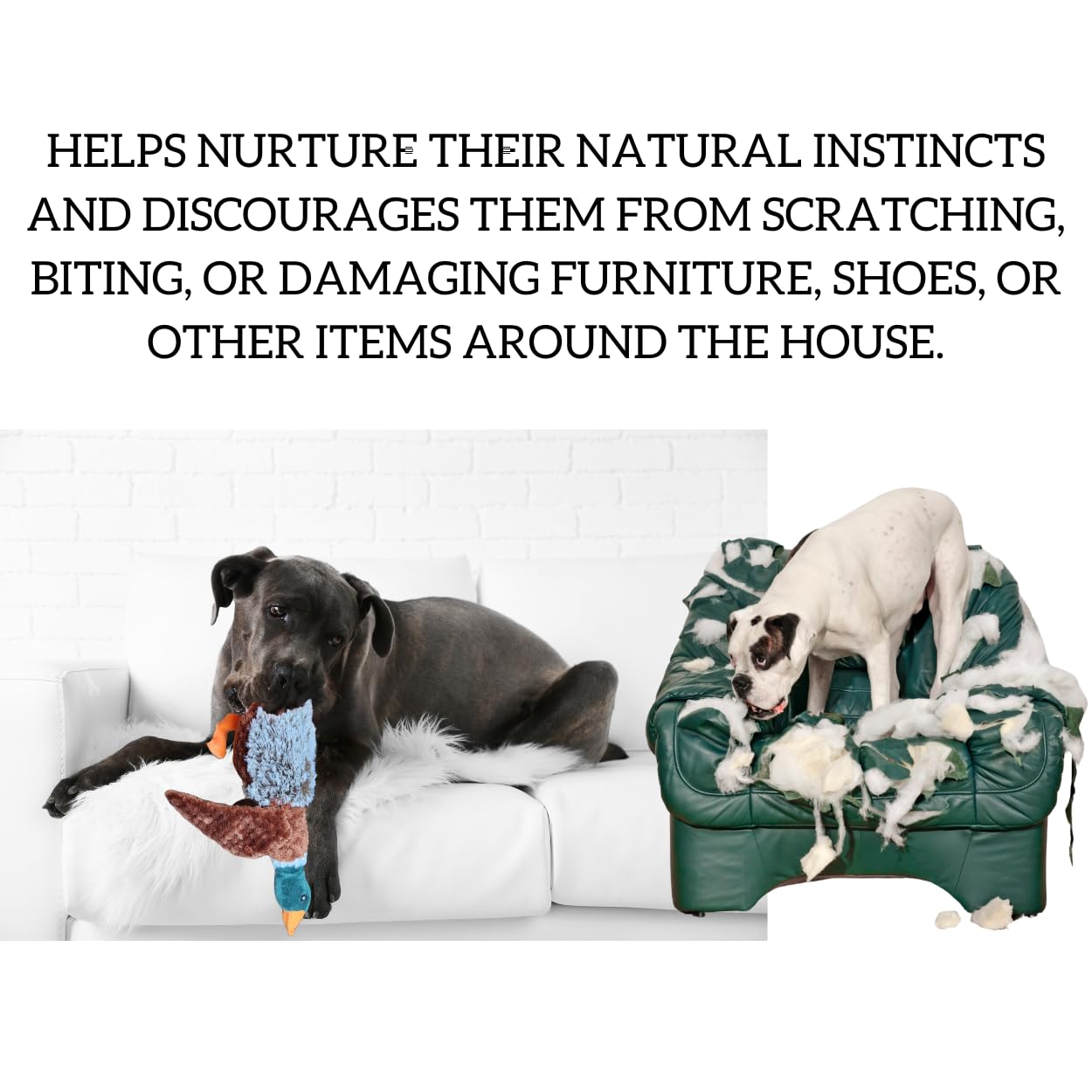 MEGUSTA SHOP green face mallard duck toy provides colorful visual interest.