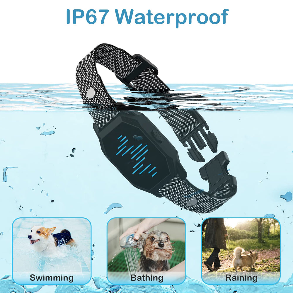 MEGWR three-channel system enables training multiple dogs with one remote