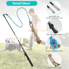 Meieke Flirt Pole dog exercise chase illustrating active pursuit