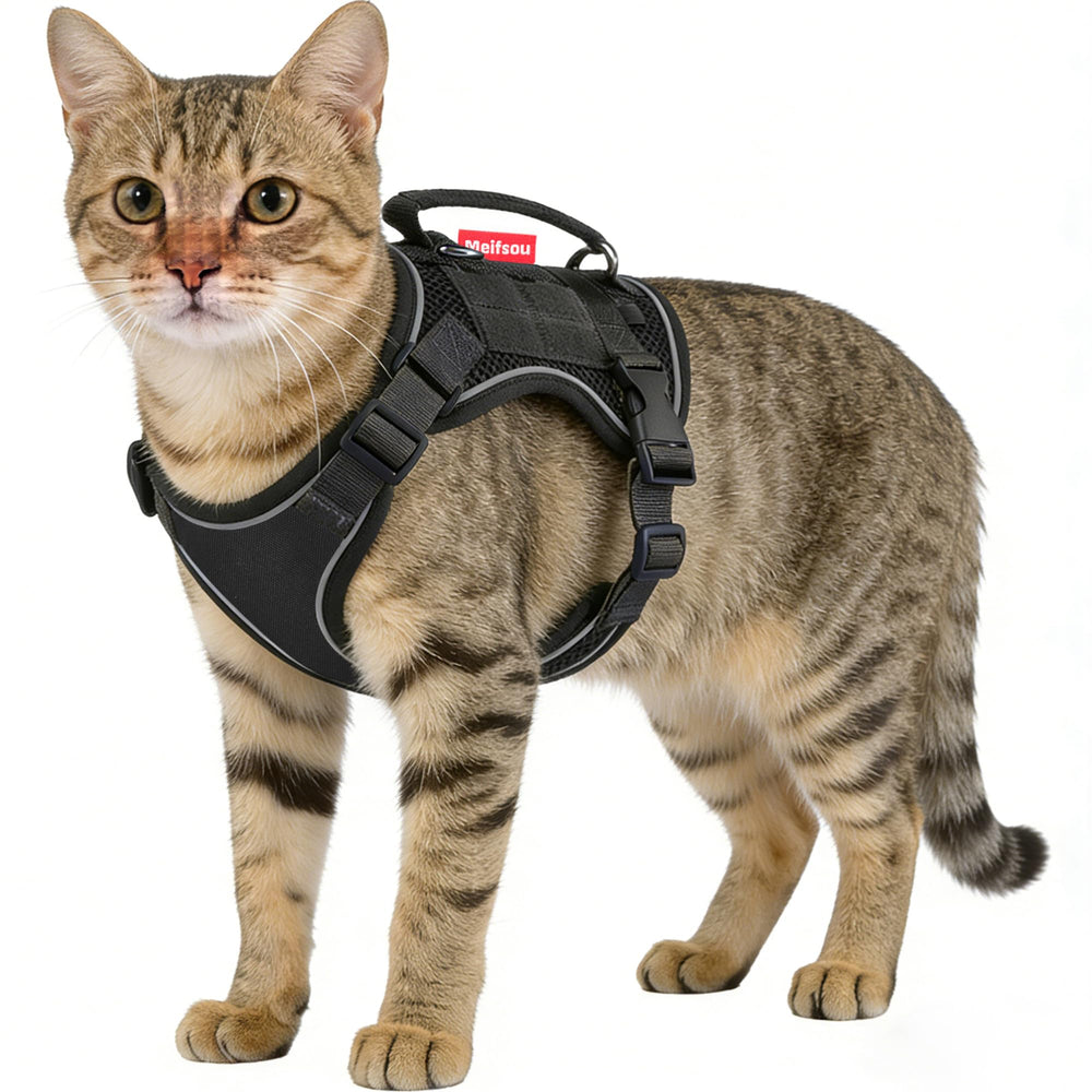 Meifsou dog harness escape-proof front view demonstrates secure walking for confident adventures.