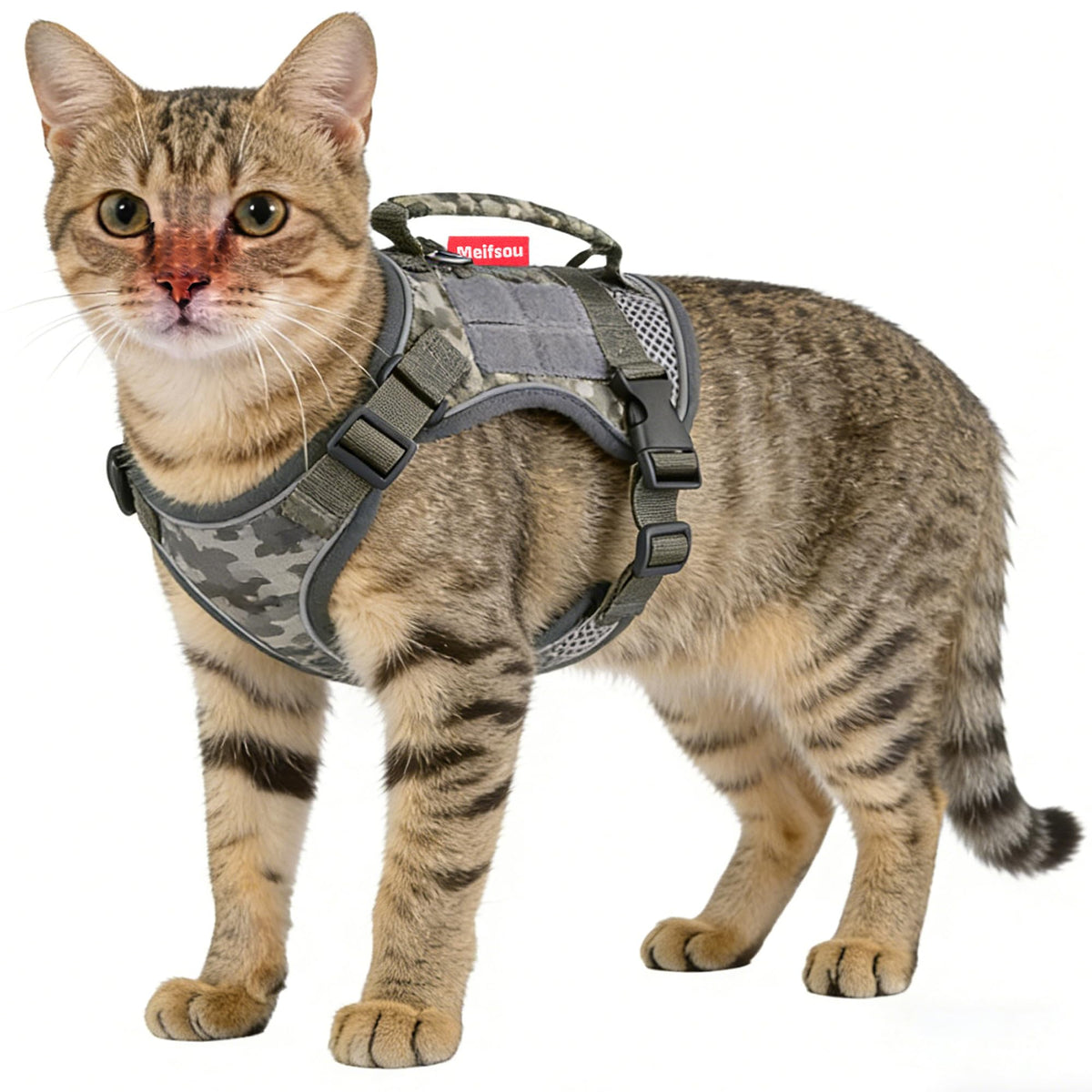 Meifsou dog harness escape-proof design keeps pets safe on outdoor adventures.