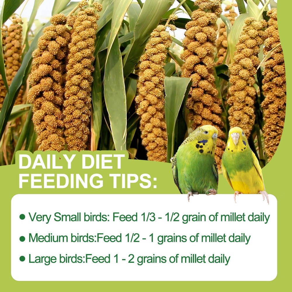 Meilleure spray millet beak exercise image emphasizes natural beak maintenance.