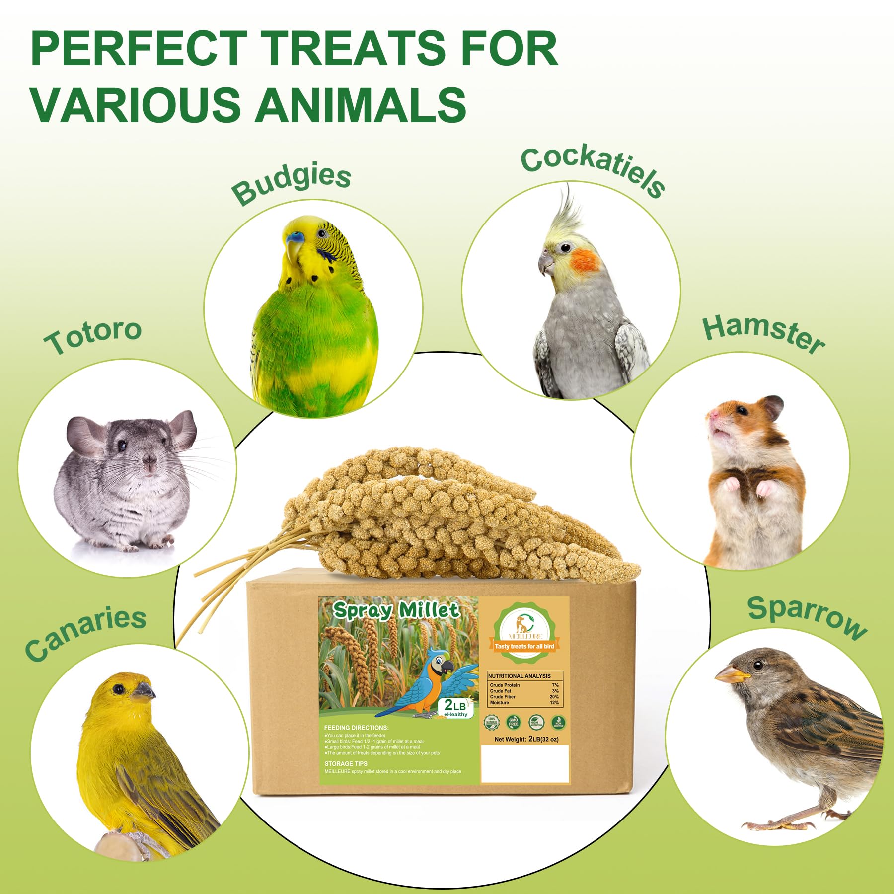 Meilleure spray millet foraging scene highlights mental stimulation for birds.